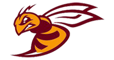 logo_vikings_villeneuve_d_ascq_football_americain