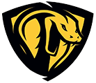 logo_vikings_villeneuve_d_ascq_football_americain