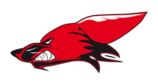 logo_vikings_villeneuve_d_ascq_football_americain