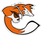 logo_vikings_villeneuve_d_ascq_football_americain