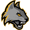 logo_vikings_villeneuve_d_ascq_football_americain