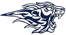 logo_vikings_villeneuve_d_ascq_football_americain