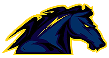 logo_vikings_villeneuve_d_ascq_football_americain