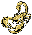 logo_vikings_villeneuve_d_ascq_football_americain